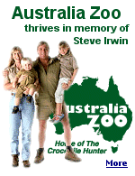 Steve Irwin died in an encounter with a stingray in 2006 while snorkelling on the Great Barrier Reef.